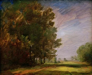 Forest Edge with Bright Meadow Path